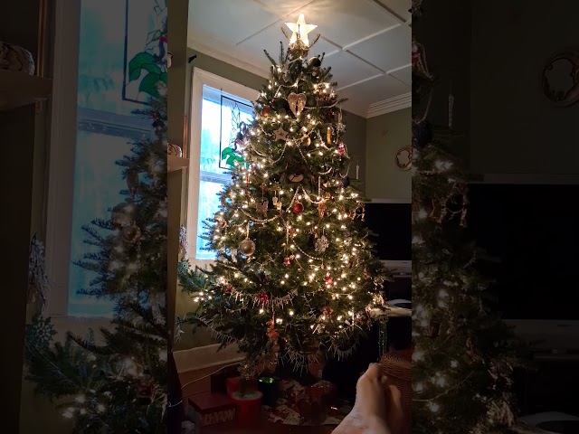 The Astrology of December 25, 2025: Merry Christmas Fellow Star Gazers!***