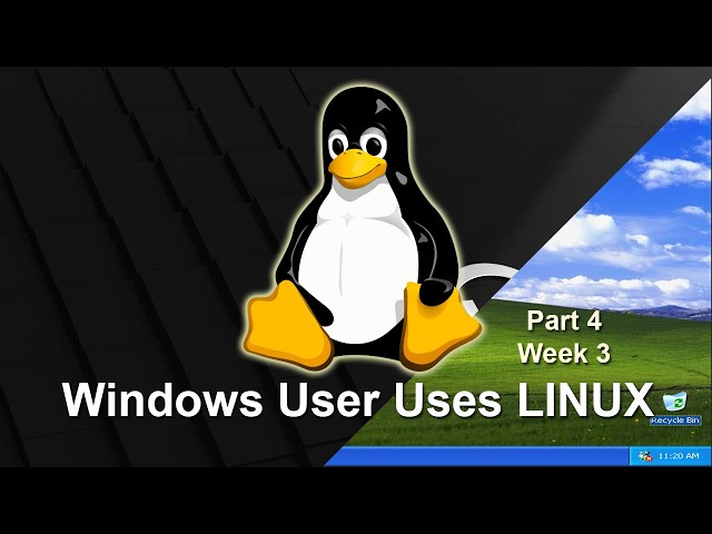 3 Weeks in Linux and I MIGHT NOT GO BACK?! Windows User Going Linux - Part 4