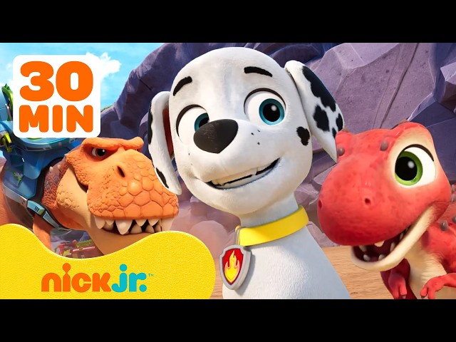 PAW Patrol NEW EPISODES ft. Dino Island Rescues! 🦖 | 30 Minutes | Nick Jr.