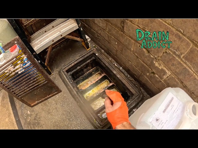 Blocked Drain 1265