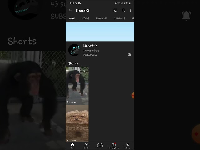 Shout-Out Of Lizard-X