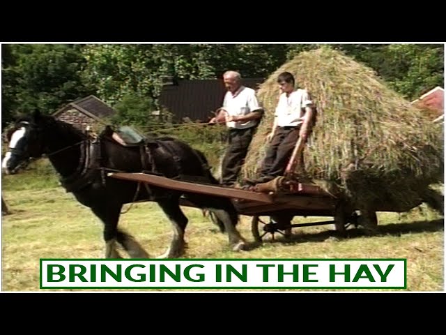Bringing in the Hay @ Muckross Traditional Farms Ireland
