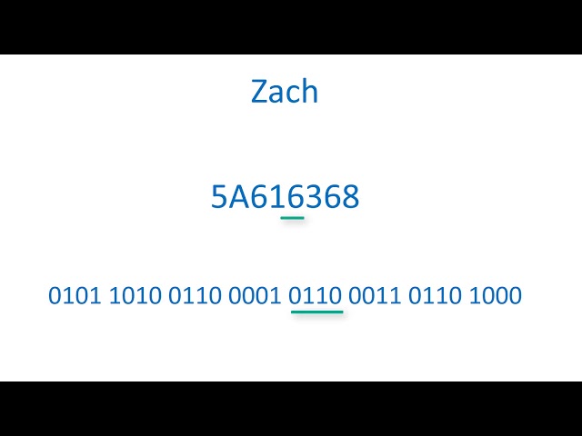 Data Encoding