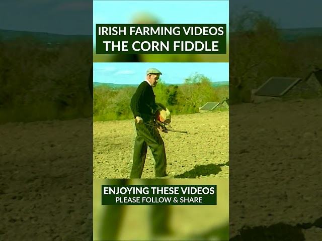 The Seed Fiddle - Spreading the seed #ireland #irishfarming #fyp #seedfiddle