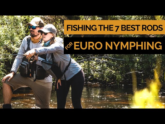 Fishing Small Streams & Testing 7 Different Rods