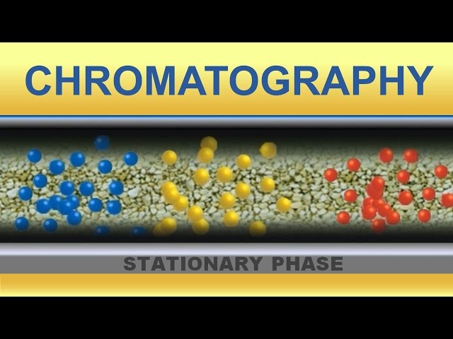 Chromatography. Animation (IQOG-CSIC)