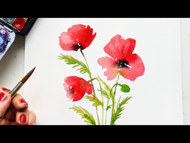 Watercolor poppies for beginners ❤️ 