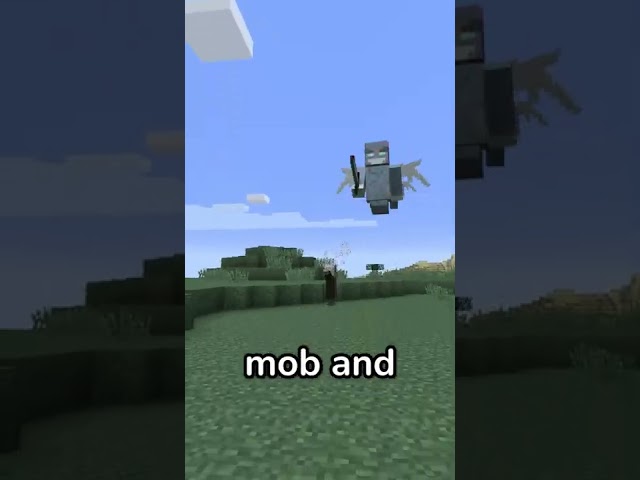 Minecraft's SECRET command!