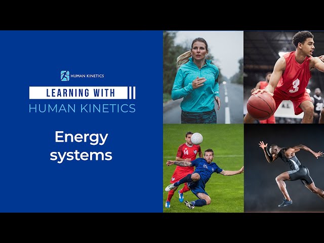 Are you training the right energy system for your sport?