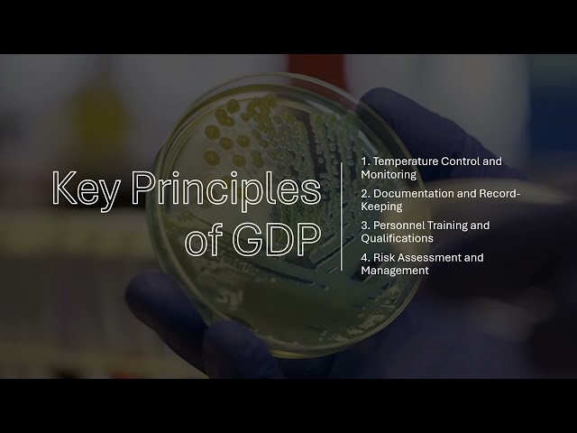 📦 Good Distribution Practice (GDP) | Ensuring Compliance in the UK