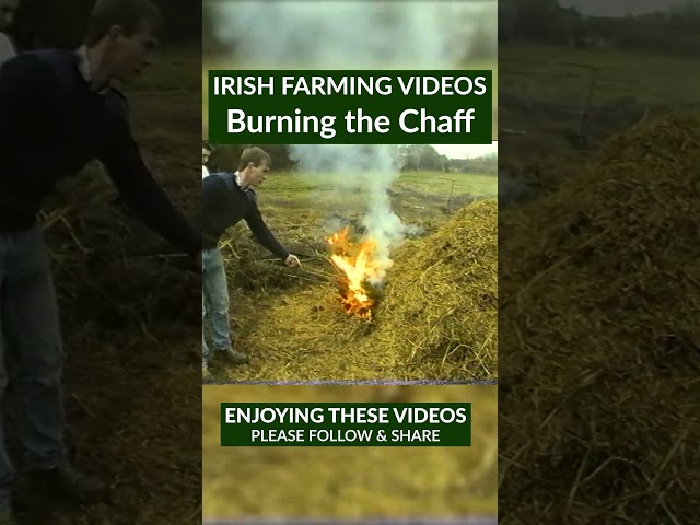 After the Threshing the Chaff was Burnt 🔥🌾