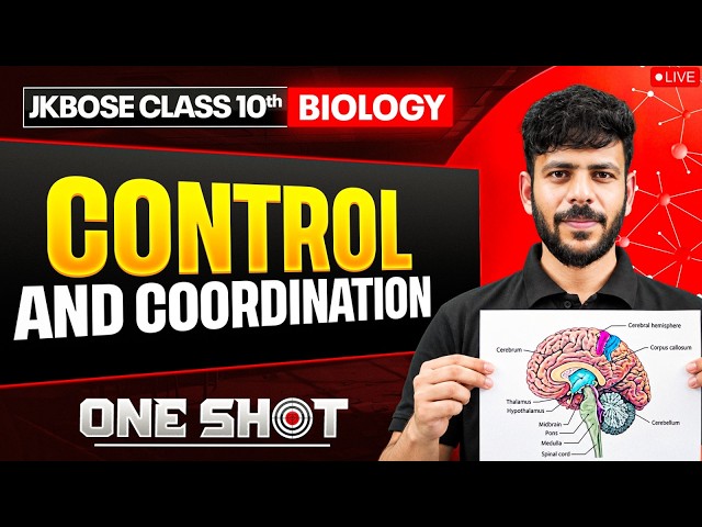 JKBOSE Class 10th Biology | Control and Coordination | ONE SHOT Series 🎯 | JKBOSE Wallah