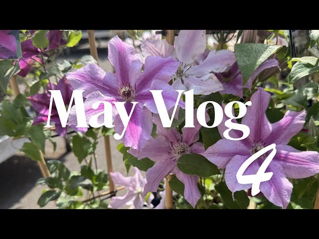 May Vlog 4 | Peaceful Caravan Days, Knitting, Crochet & Dog Walks 🌸🧶