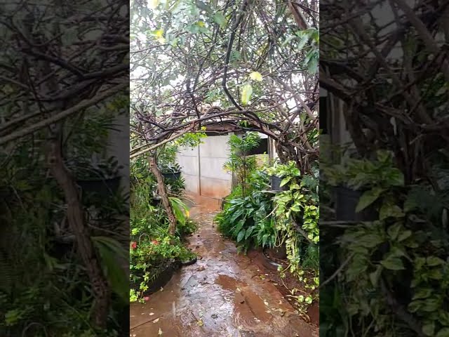 Paranaiguara  Go, chuva e frio