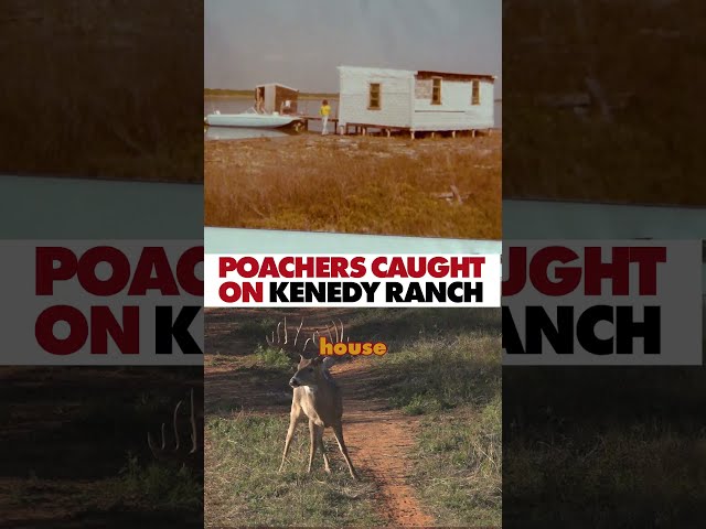 We Got Caught Poaching on Kenedy Ranch