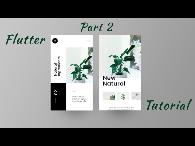 Flutter UI tutorial in Hindi - Flutter UI design tutorial in Hindi Part 2