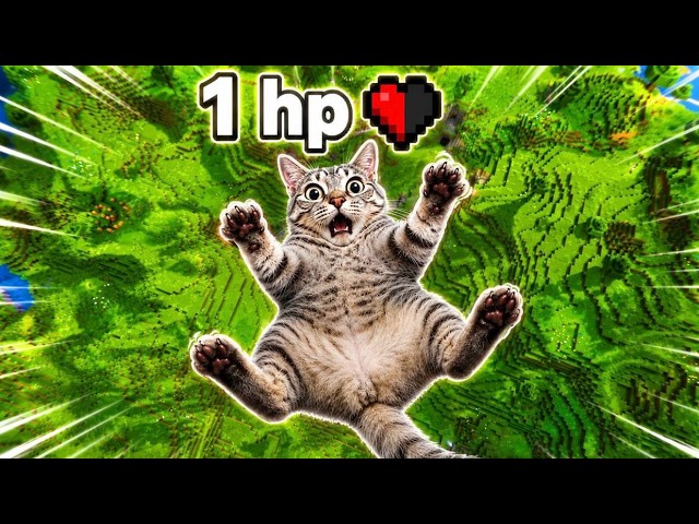 Minecraft but Cat Has 1 HP (Part 1)