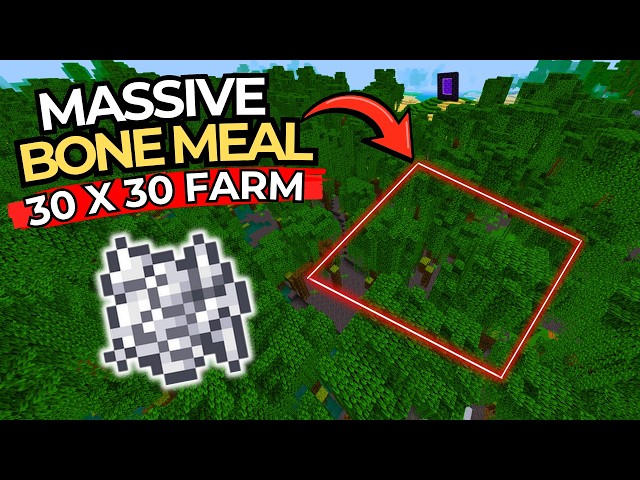 Preparing a MASSIVE Bone Meal Farm! Minecraft Bedrock