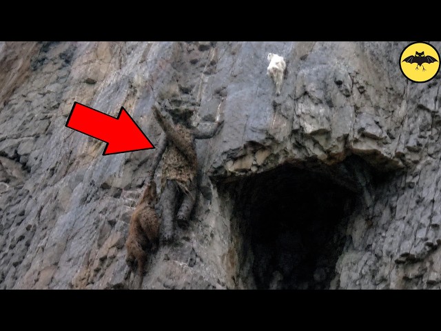 Mysterious Giant Creatures Caught on Camera That Left People Speechless