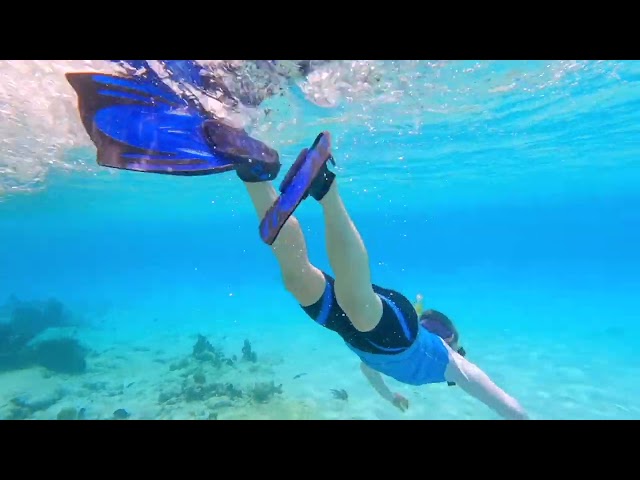 Snorkel Bonaire 2026