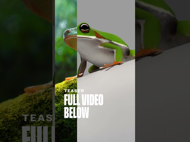 Generating 3D Models With AI Just Got Easier (Teaser)