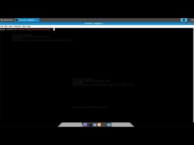 Offensive Security Official Video Leak Metasploit Payloads 18