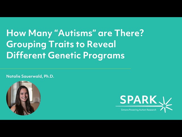 How Many 'Autisms' Are There? Grouping Traits to Reveal Different Genetic Programs