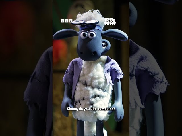 Meeting SHAUN THE SHEEP!