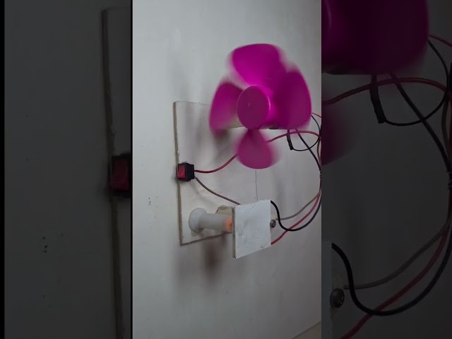 science project