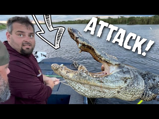 GIANT ALLIGATOR TRIES TO EAT US!