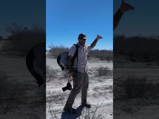 Why Some Animals Fit a Landscape and Others Break It