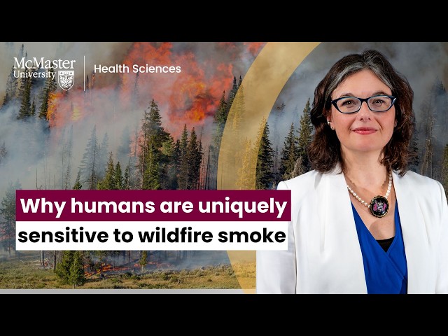 Here's why humans are uniquely sensitive to wildfire smoke