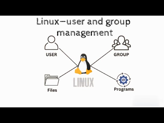 Understanding Linux User & Group Permissions (and How to Use Them)