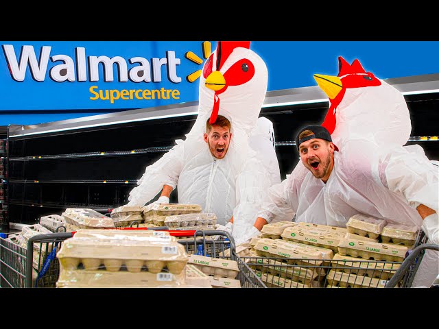 Buying ALL The Eggs.. AS Chickens!