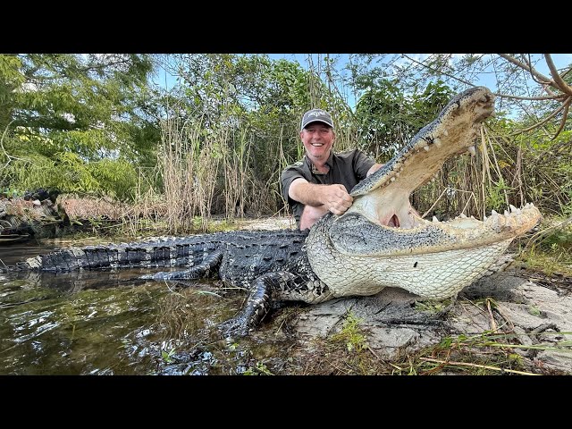 We Caught 4 BIG Swamp Gators… Then Trapped in Canal After Dark! 