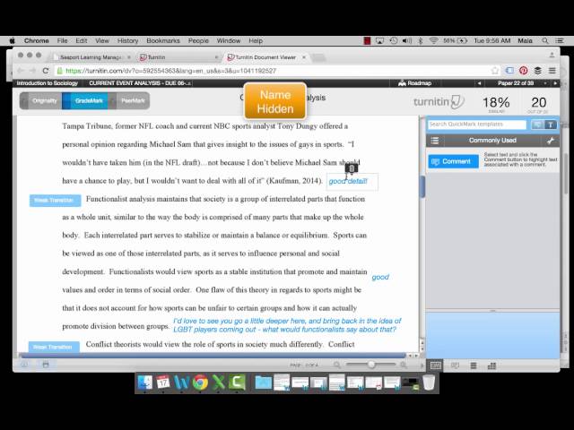 Current Event Analysis - A Paper Example