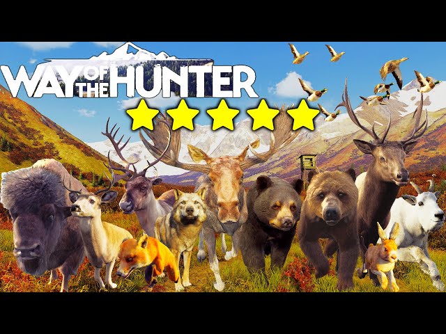 Every Animal on Aurora Shores BUT They Are ALL 5 Stars!