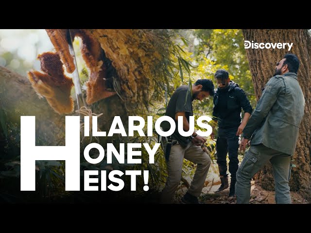 Suniel Shetty & Sanjay Dutt in a Sticky Situation in the wild | Star vs Food Survival | Discovery