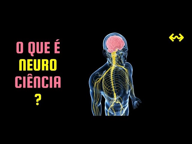 What is Neuroscience? - Brainstorming #1