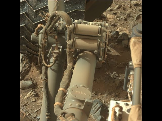 Petrified Wood, Steel Plate Found On Mars !? ~ 2/19/2018