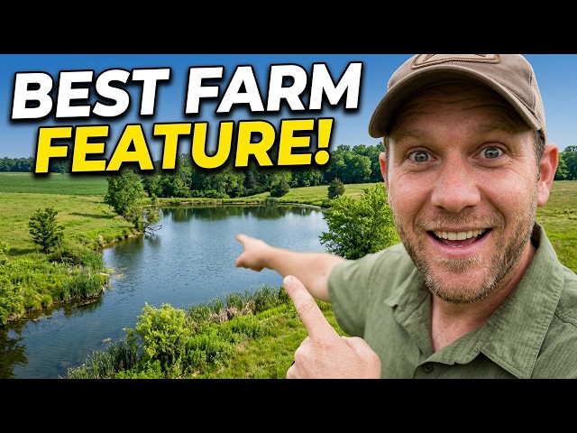 One Of The Most Valuable Features On Any Farm!
