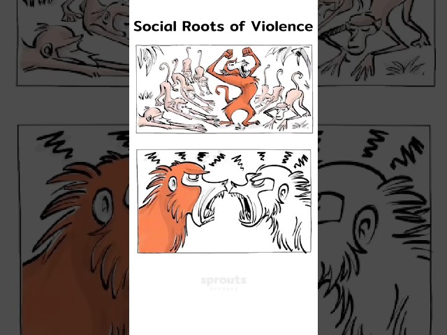 The Social Roots of Violence [Shorts Version] #sproutsschools #psychology #violence