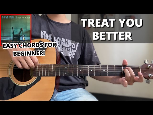 Treat You Better - Shawn Mendes (Guitar Tutorial) No Capo! Easy Chords For Beginner!