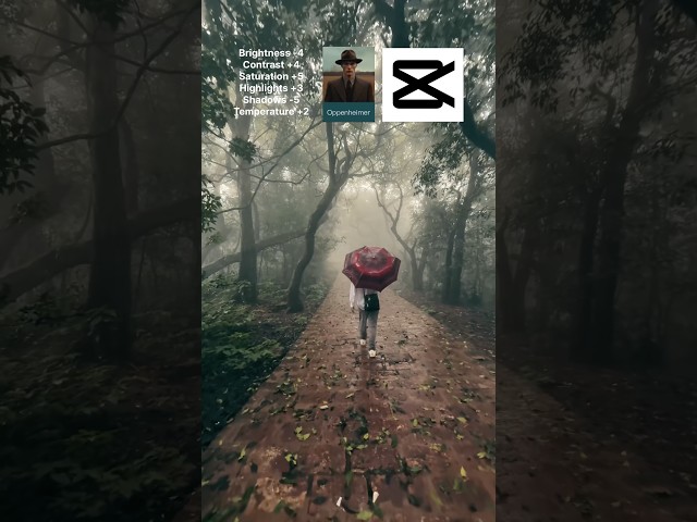 How to get cinematic look in capcut mobile tutorial #youtubeshorts #capcutedit #colorgrading