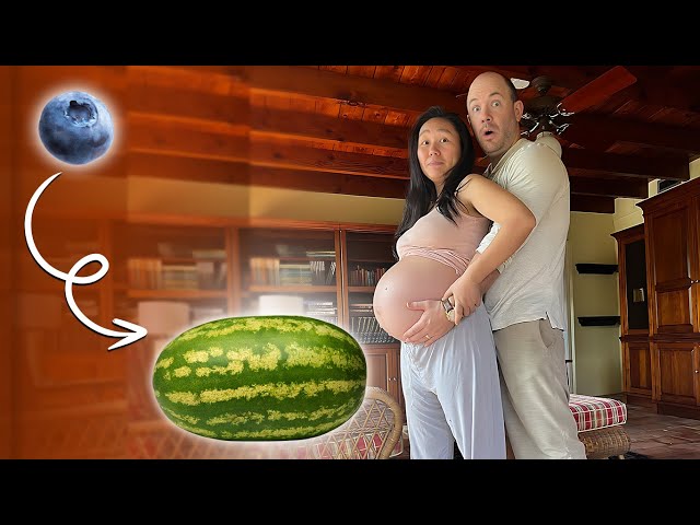 Pregnancy Dance | Week by Week Baby Size Progression (Part 2)