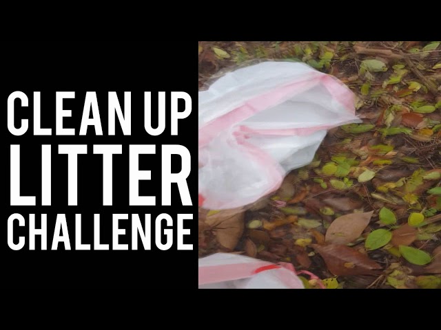 cleaning up 26 bags filled with trash for my 26th birthday