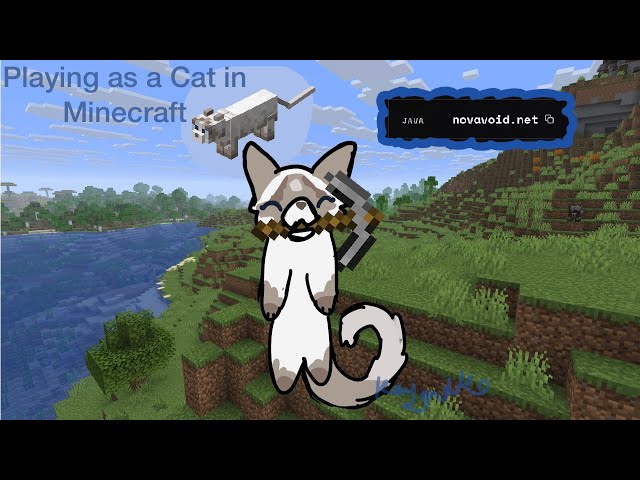 Playing as a Cat in Minecraft Part two! (Novavoid.net/Catciv.net)