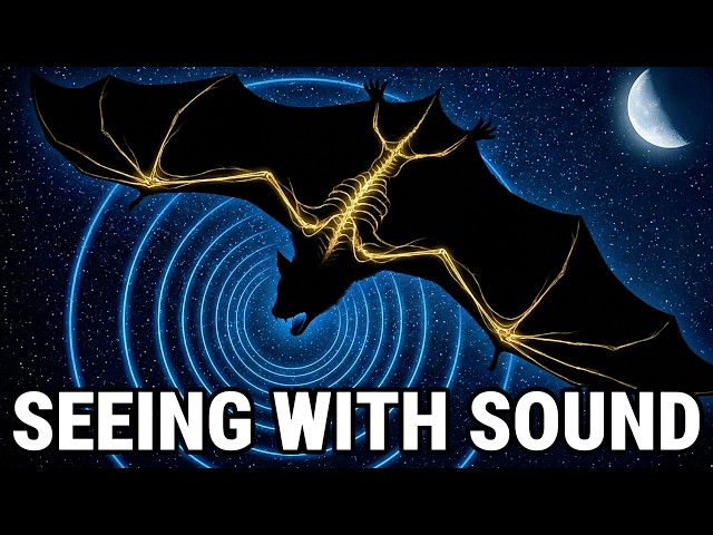 The Evolution of Echolocation — How Nature Found the Same Answer Twice