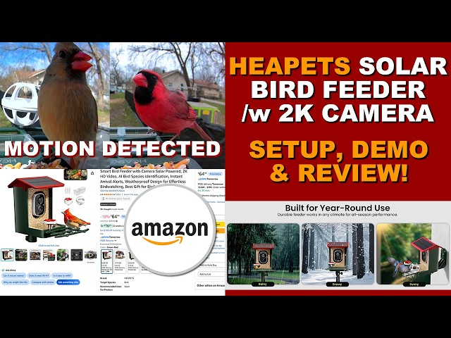 Heapets 2k Smart Camera Bird Feeder Setup & Review. #madreviews #heapets #birdfeeders #amazonreview