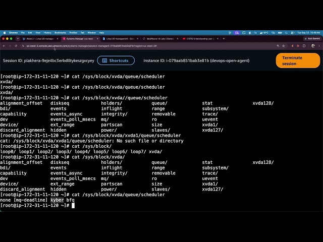 Linux I/O management